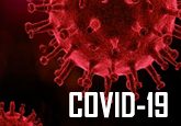 Informació Coronavirus