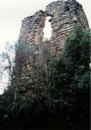 Ruïnes del Castell de Mont Palau